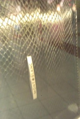 IMAG2824.jpg